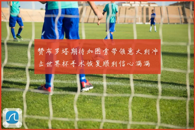 赞布罗塔期待加图索带领意大利冲击世界杯手术恢复顺利信心满满