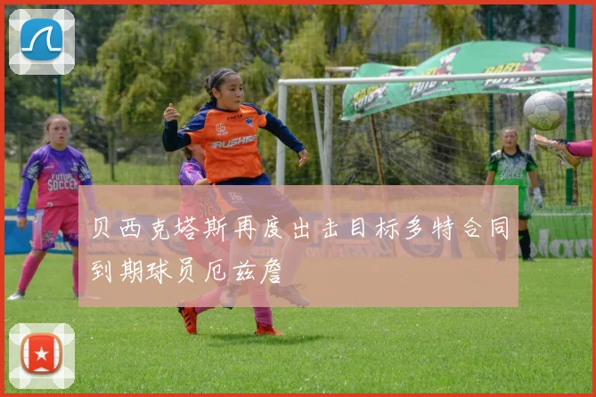 贝西克塔斯再度出击目标多特合同到期球员厄兹詹