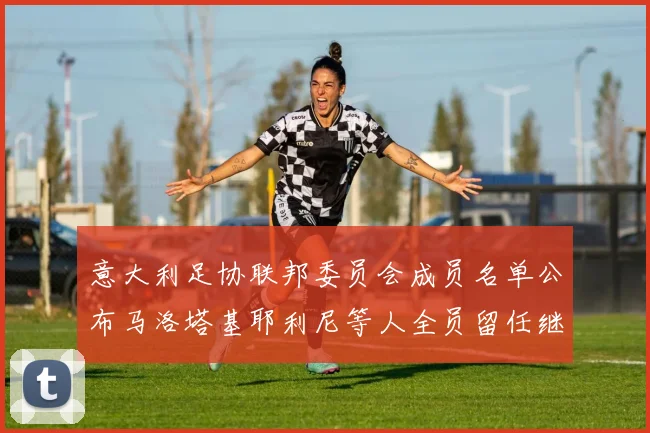 意大利足协联邦委员会成员名单公布马洛塔基耶利尼等人全员留任继续服务